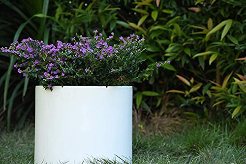 Kante Small Round Cylinder White Concrete Planter 9.8" Tall, Outdoor - color: Pure White, size: 9.8" Dia