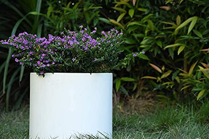 Kante Small Round Cylinder White Concrete Planter 9.8" Tall, Outdoor - color: Pure White, size: 9.8" Dia