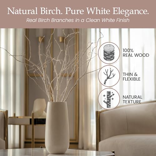 Branches for Vase, 3'–4' Natural Birch Tree Branches for Decoration, Bundle of 10 Tall Decorative Sticks for Vases, Rustic Wood Branches for Crafts, Weddings, Seasonal & Home Décor - White - color: White