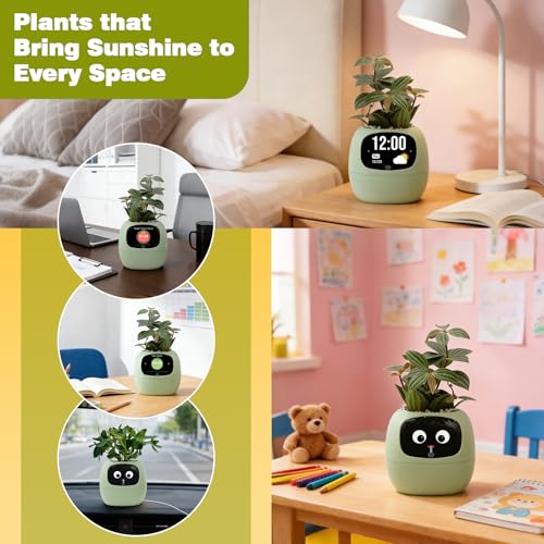 PLANTSIO Smart Plant Pot with Screen, 80ml Self-Watering Planter Green - color: Green