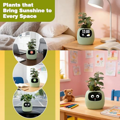 PLANTSIO Smart Plant Pot with Screen, 80ml Self-Watering Planter Green - color: Green