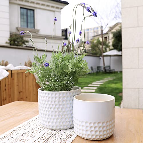 LA Jolie Muse Ceramic Plant Pots, Flower Pots for Indoor Plants, Set of 2 - color: Glacier Gray