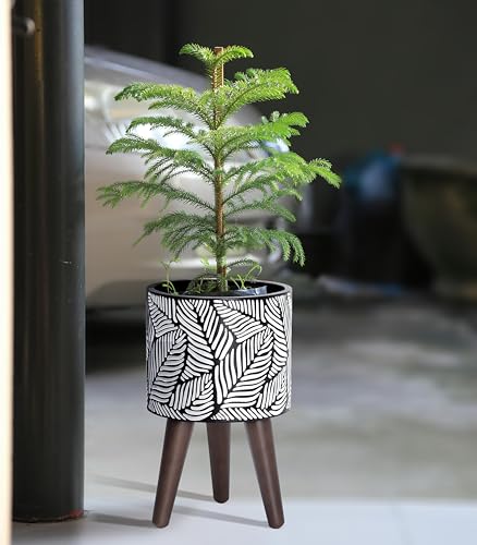 D'vine Dev 8 Inch Planter Pot with Wood Stand, White/Grey, 88-L-A-7 - color: White/Grey, size: Small