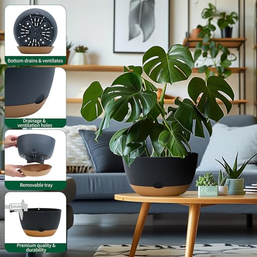 Koalaime 8/10/12 Inch Pots for Indoor Plants, Large Self Watering Planters with Drainage and Saucers, Plastic Outdoor Flower Pot, Set of 3, Grey - color: Gray