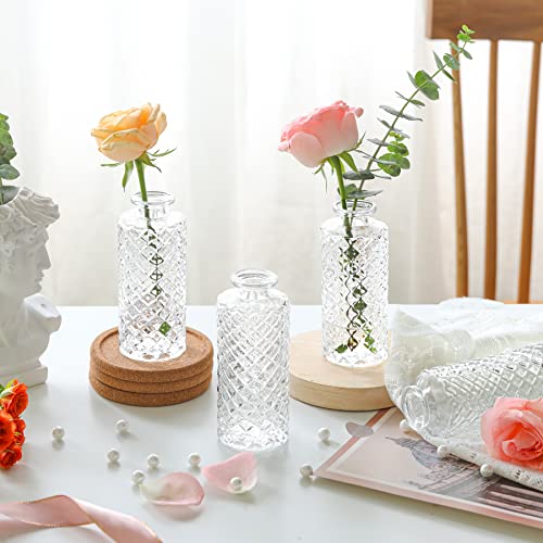 ComSaf Small Glass Bud Vases in Bulk, 6 Pack for Centerpieces, Clear - color: Clear, size: 6 Pcs