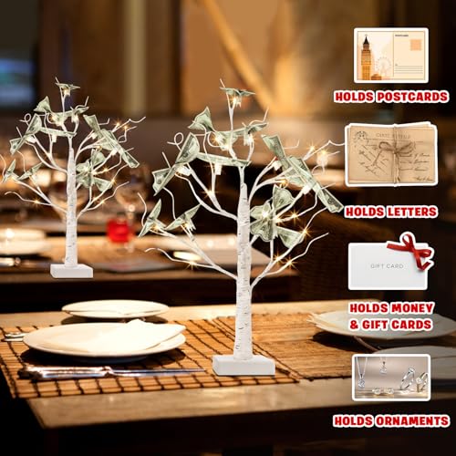 PEIDUO Set of 2 Money Trees, Lighted 22Inch 24LT White Birth Tree with Clips and Greeting Cards, Gift Card Holder for Birthday,Christmas, Wedding, Father's Day Graduation Gifts, Money Tree Gift Holder - color: Transparent,white