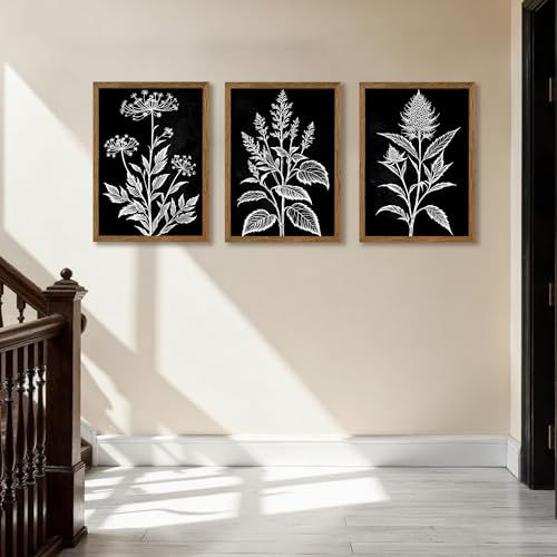 AVECCO 3 Pieces Black White Botanical Wall Art Canvas Framed 12x16 Inch - color: Dark, size: 16"L x 12"W