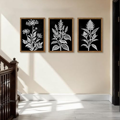 AVECCO 3 Pieces Black White Botanical Wall Art Canvas Framed 12x16 Inch - color: Dark, size: 16"L x 12"W
