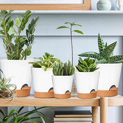 GARDIFE Plant Pots 7/6.5/6/5.5/5 Inch Self Watering Planters with Drainage Hole, Plastic Flower Pots, Nursery Planting Pot for All House Plants, African Violet, Flowers, and Cactus,White - color: 7-white, size: 7+6.5+6+5.5+5 inch