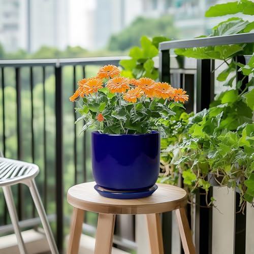 Ceramic Flower Pot 7 Inch, Round Planter, Blue - color: Dark Blue, size: 7 Inch