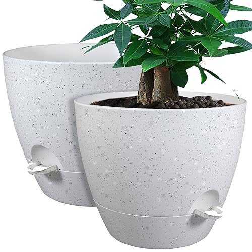 UOUZ 12inch 2Pack Large Self Watering Planters, Plastic Plant Pots with 60oZ Removable Deep Reservoir and Multi Mesh Drainage Holes for Indoor Outdoor Garden Plants and Flowers, White Speckles - color: White Speckles