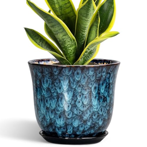 8 Inch Plant Pot - Ceramic Planter for Indoor Outdoor, Round Planter with Drainage Hole and Saucer, Modern Planters, Flower Pots, Apartment Porch Room Home Decor, Gardening Gifts, Blue - color: Blue, size: 8 Inch