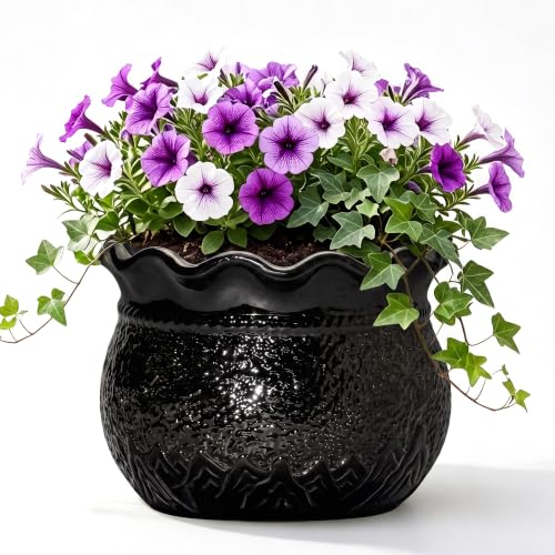 12 Inch Ceramic Planter, Large Plant Pot Indoor, Black - color: Black, size: 12 Inch