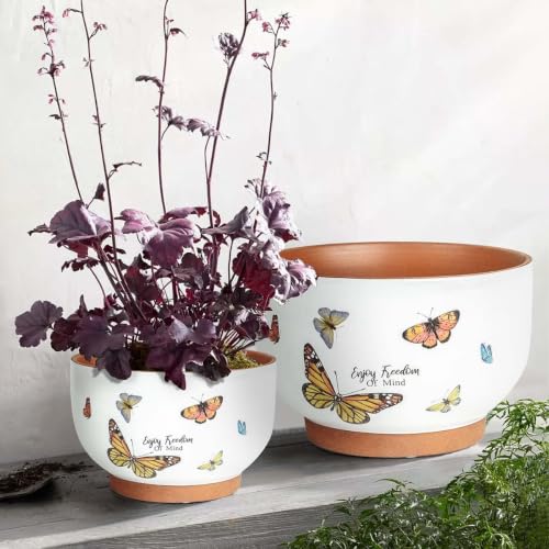 Terracotta Pots, 8+6 Inch Plant Pots, 2 Pcs with Drainage Holes - color: Jardin Butterfly, size: 8+6 Inch