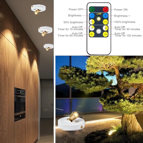 RAHAN 2Pack Battery Operated Spotlight, Picture Light with Remote Dimmable & Timer, Plants Uplighting Picture Lights for Paintings, Small LED Spot Display Lights for Wall Frame Artwork Dartboard - color: White-G