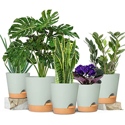 GARDIFE Plant Pots 7/6.5/6/5.5/5 Inch Self Watering Planters with Drainage Hole, Plastic Flower Pots, Nursery Planting Pot for All House Plants, African Violet, Flowers, and Cactus,Green - color: 7-green, size: 7+6.5+6+5.5+5 inch