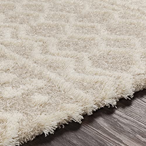 Livabliss Hapsburg Moroccan Shag Area Rug,12' x 15',Beige - color: Beige, size: 12' x 15' (Rectangular)