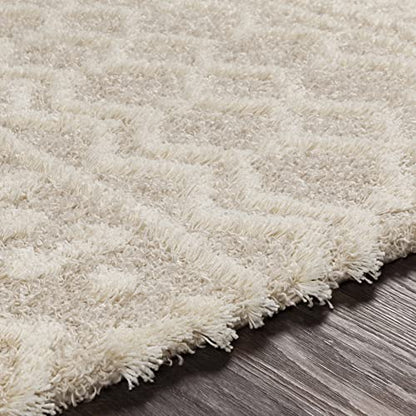 Livabliss Hapsburg Moroccan Shag Area Rug,12' x 15',Beige - color: Beige, size: 12' x 15' (Rectangular)