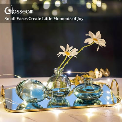 Glasseam Glass Bud Vase for Centerpieces: 12Pcs Green Mini Small Vases Bulk - color: Green, size: 4 Sets