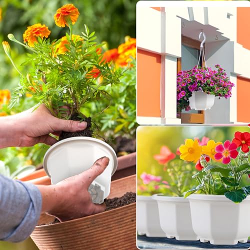 Roshtia 24 Pcs Hanging Planter Pot with Hook, Ceramic White, 5 Inch - color: Ceramic White, size: 5 Inch