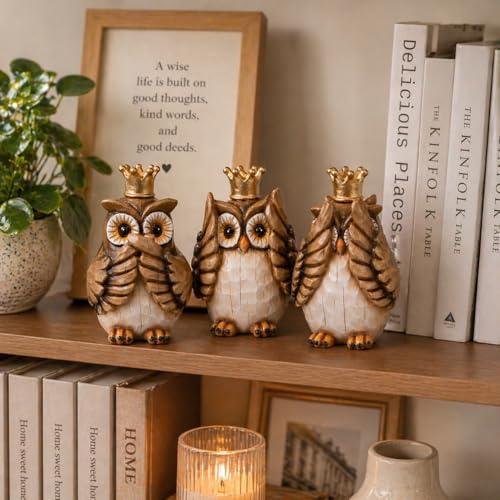 Hodao See No Evil Owl Figurines 3PCS, Crown Owl Decor, Home & Office Accent - color: Three Wise Owl