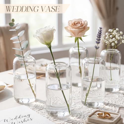 12pcs Bulk Glass Bud Vases for Centerpieces 5 Inch Clear Cylinder Vases Small Flower Vase for Wedding Party Event Table Decor Home Floral Arrangement