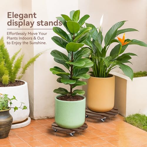 2 Pack 12 IN Wood Plant Caddy, 360 Lock Wheels Indoor Outdoor Heavy Stand