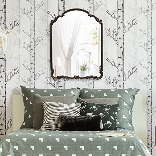 Wylde Iris English Estate Carved Arch Wood Wall Mirror, Mirror for Entryway, Living Room, Bathroom, Antique Black, 22x30 - color: Antique Black, size: 30"L x 22"W