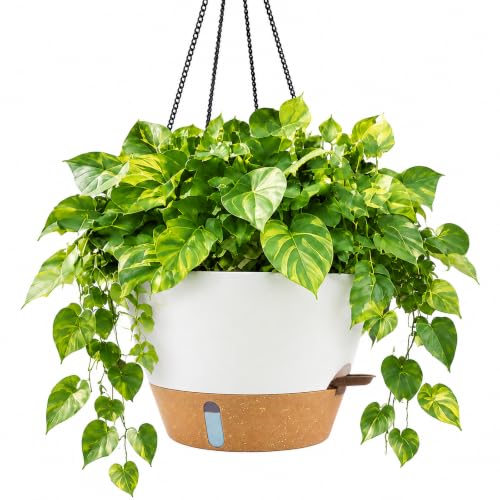 ZMTECH 대형 30.5cm(12인치) 자체 급수 벽걸이 화분, 워터 윈도우 및 체인 - color: 화이트.
