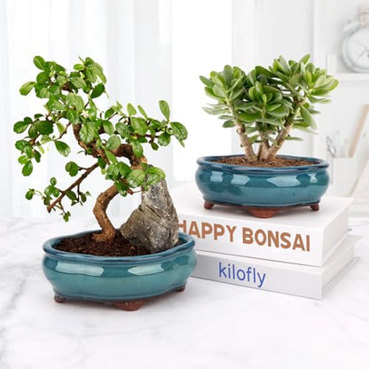 Bonsai Planter 5.7" Small Succulent Glazed Pots Set of 2 + 6 Soft Mesh Drainage Screens - style: Style Ax2