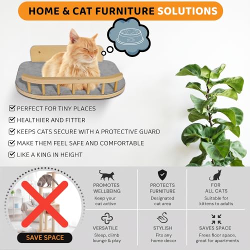 Cat Wall Shelves, Modern Cat Wall Furniture for Indoor Cats - color: Natural Wood, 3 Steps + Perch