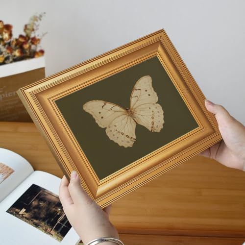 EJPFOGV Butterfly Framed Canvas Wall Art Dark Green Background 8x10 inches - color: Butterfly, size: 10"L x 8"W