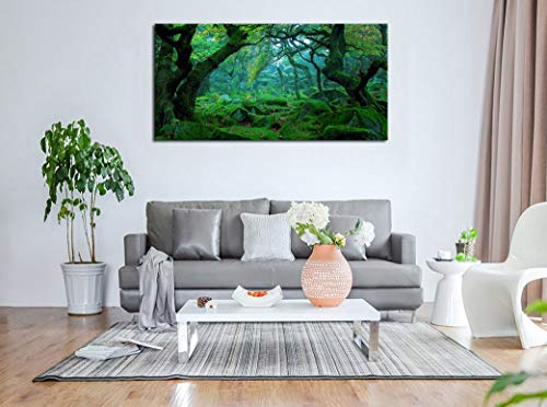 Green Forest Canvas Wall Art Living Room Decoration Big Trees Nature Picture Large Modern Canvas Artwork Contemporary Woods Mossy Rock Spring Season Prints for Office Home Decoration 20" x 40" - color: Green Forest, size: 40"L x 20"W