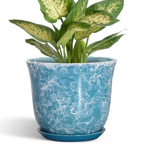 Ceramic Pots for Plants, 5.6 Inch Plant Pot with Drainage, Blue - color: Gemstone Blue, size: 6 Inch