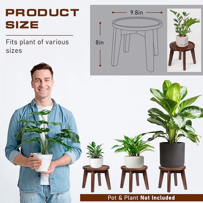 Demigo Indoor Plant Stand, 8 in Tall Acacia Wood Plant Shelf, Dark Brown - color: Dark Brown, size: Medium