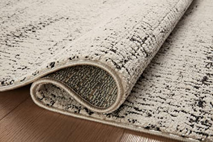 Loloi Darby Oatmeal/Charcoal 2'-7" x 4' Accent Rug - color: Oatmeal / Charcoal, size: 2'7" x 4' (Rectangular)