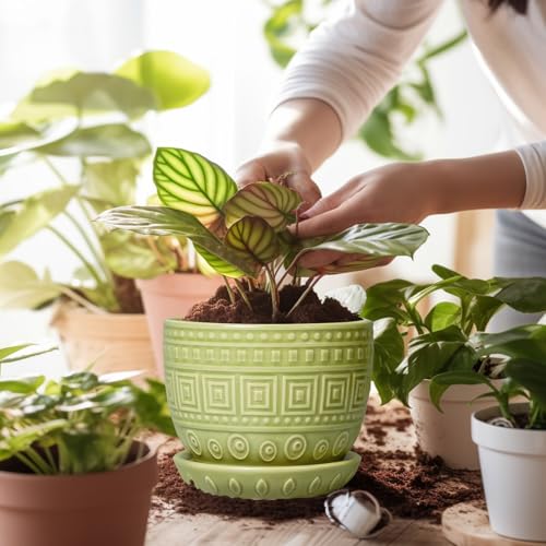 G EPGardening Ceramic Pots for Plants 5.5 Inch Round Ceramic Planter, Green - color: Palindrome Green