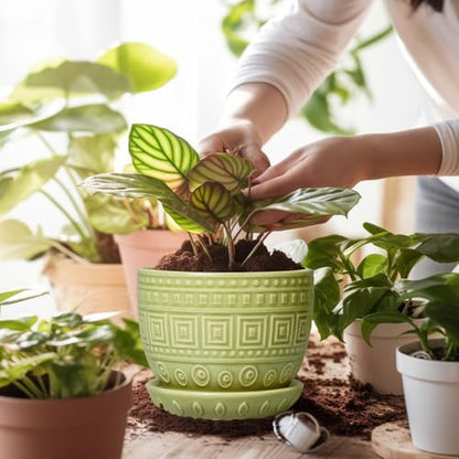 G EPGardening Ceramic Pots for Plants 5.5 Inch Round Ceramic Planter, Green - color: Palindrome Green
