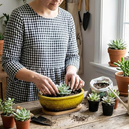 Succulent Pots, 1 Rectangle Planter + 1 Ceramic Bonsai Pots with Drain Tray - color: Yellow