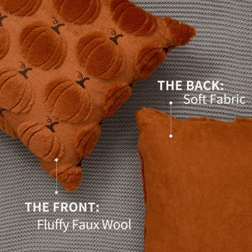 DFXSZ Fall Pillow Covers 18x18 Set of 2 Rust Pumpkin Embroidery - color: Rust, size: 18" x 18" (Pack of 2)