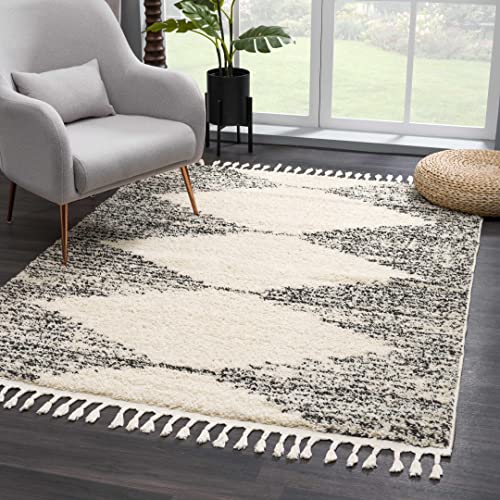 Hauteloom Berber Shag Collection - Howth Farmhouse Entryway, Bedroom, Kitchen Shaggy Runner Rug with Tassel - Fluffy Plush High Pile Carpet - Southwestern Tribal Style - Beige, Black - 2'7" x 7'3" - color: Beige, Black, White / Howth, size: 2'7" x 7'3" (R