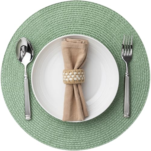 Baroyal Round Placemats Set of 8 Plastic Woven Placemats Washable Wipeable Table Mats for Dining Table Heat Resistant Non-Slip Circle Place Mats (Green) - color: Green