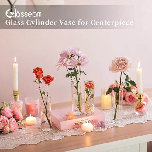 Glasseam Cylinder Bud Vases in Bulk 24: Clear Small Glass Vases for Flowers