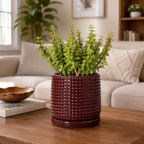 D'vine Dev Beaded Ceramic Pot with Saucer, 6 in, Burgundy Red, 27-C-X-M - color: Burgundy Red, size: 5.8 Inch