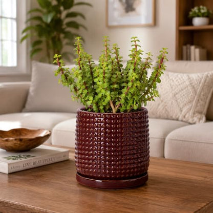D'vine Dev Beaded Ceramic Pot with Saucer, 6 in, Burgundy Red, 27-C-X-M - color: Burgundy Red, size: 5.8 Inch