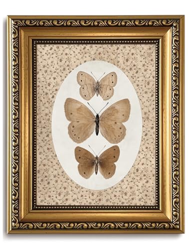 Vintage Butterfly Wall Art gold Framed Butterfly Pictures Wall Decor - color: Butterfly, size: 10"L x 8"W
