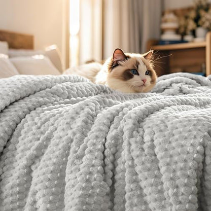 PHF Soft Cozy Fleece Blanket Queen, 340GSM Lightweight Warmth, Light Grey - color: Light Grey, size: Queen(90"x90")