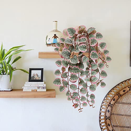 Briful Pink Fake Variegated String of Hearts Plant in White Ceramic Pot - color: Blush Pink and Sage Green Variegated