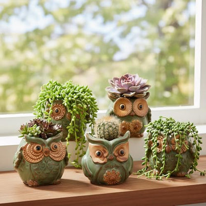 TOPZEA 10 Pack Succulent Planter Pots with Drainage Hole, Cute Owl Ceramic Small Planters Animal Tiny Flower Plant Pots Containers Indoor for Cactus, Herb, Home, Garden, Windowsill, Coffee Table Decor