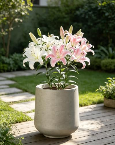 Kante 13.4" Tall Concrete Planter, Round Curved Flower Pot, Weathered - color: Weathered Concrete, size: 13” Dia